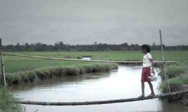 Summer of Soul (2023): The unforeseen trajectory of life