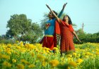 SUPERMEN OF MALEGAON – A SYMBOL OF HOPE  : A RETRO-REVIEW OF 16 YEARS AGO