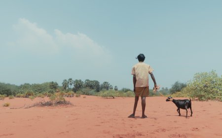 Review: Pechi  (2024)