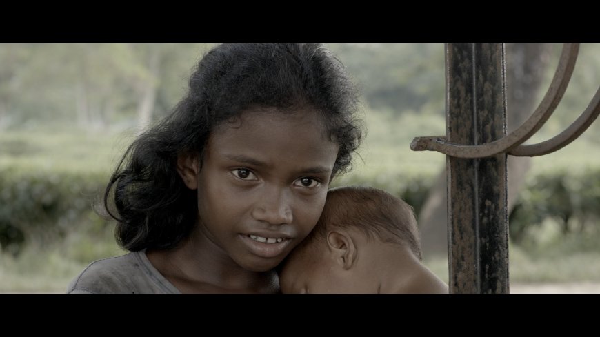 Review: Kumu – The Song of a Wingless Bird (2021)