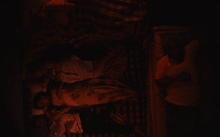 Review: Free as a Bird (2024)