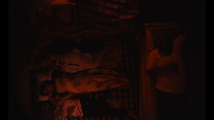 Review: Free as a Bird (2024)