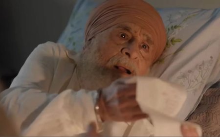 Main Vaapas Aaunga and the Burden of Partition Memory