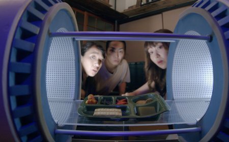 Review: Cat Pupa