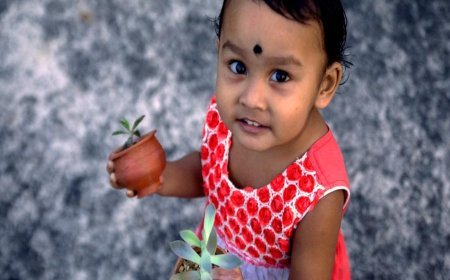 Review: Jilipibalar Bondhura (Friends of Jilipibalar, 2025)