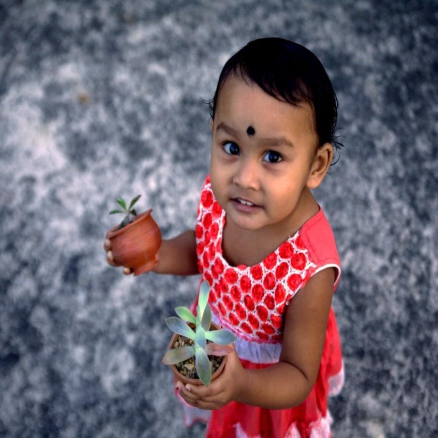 Review: Jilipibalar Bondhura (Friends of Jilipibalar, 2025)